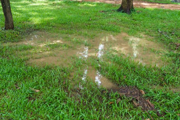 Cost of Storm Water Drainage Service in Plano