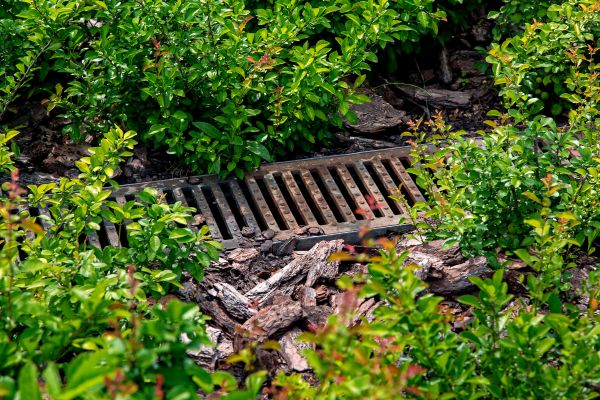 Cost of Underground Drainage Service in Plano