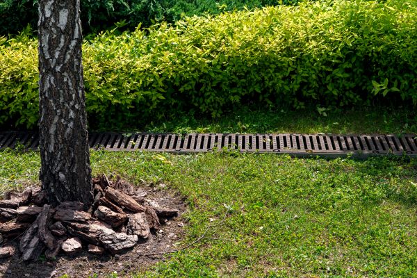 Cost of Wet Yard Drainage in Plano