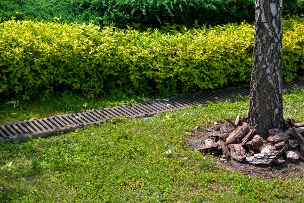 Cost of Residential Landscape Drainage in Plano